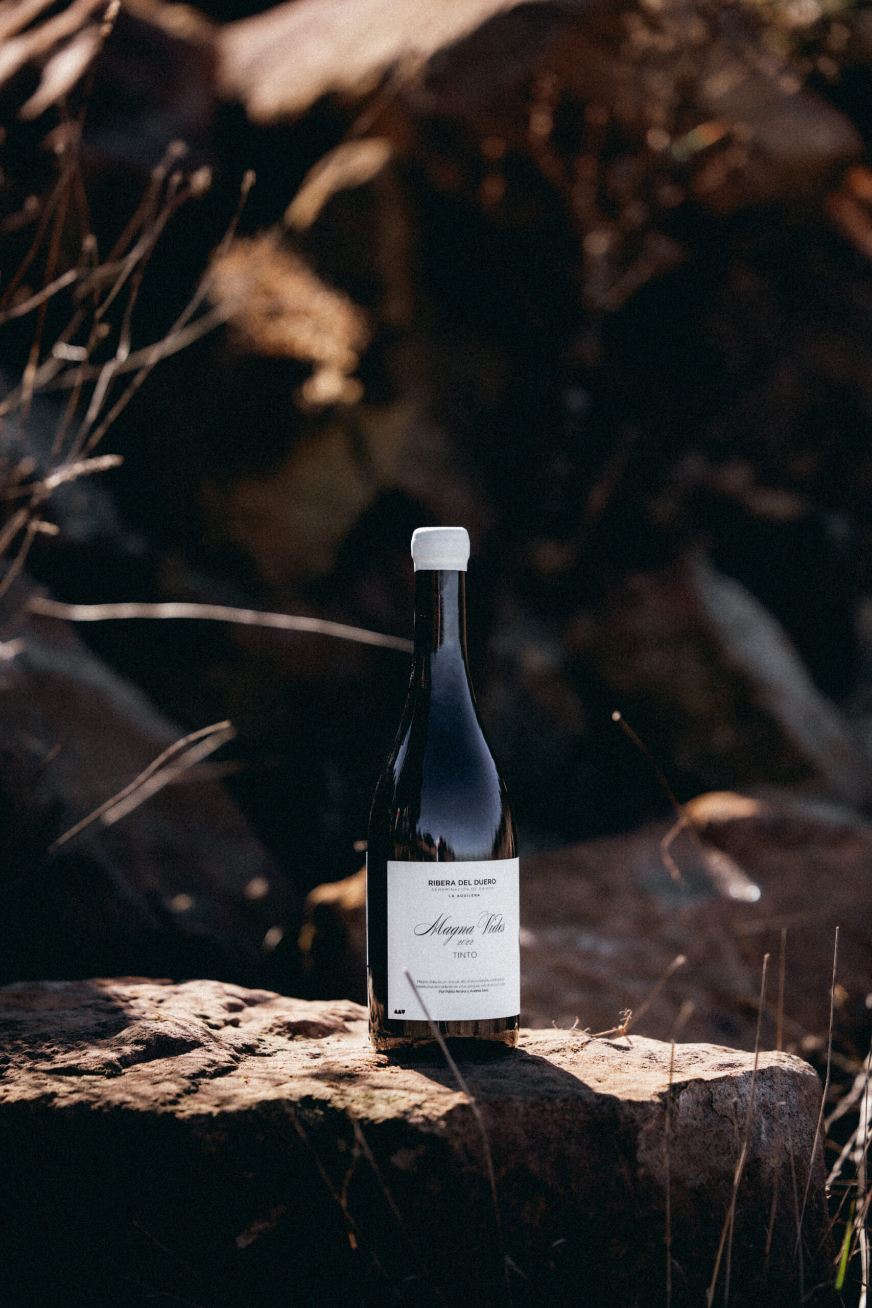 Magna Vides Tinto - Imagen 3