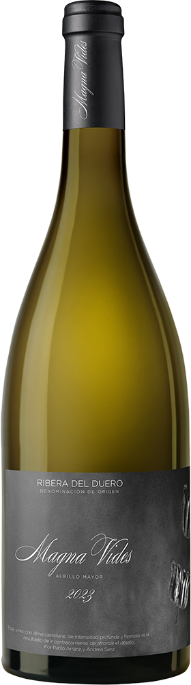 Magna Vides Blanco