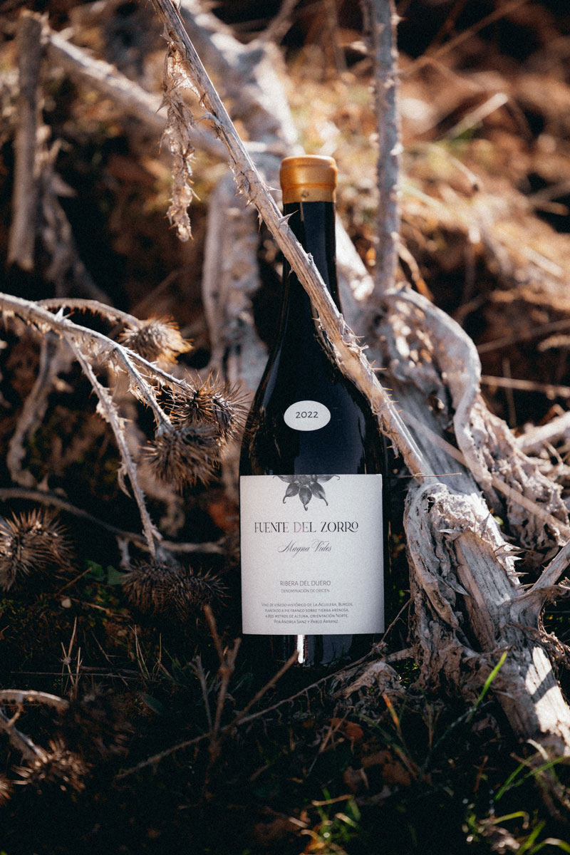 Fuente del Zorro - Image 2