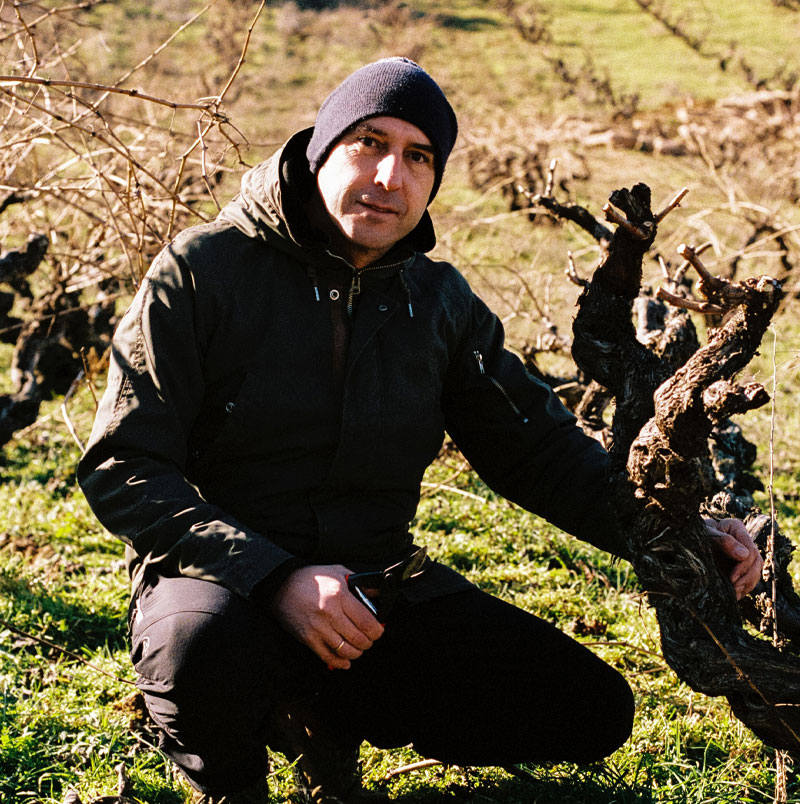 Pablo Arránz. Viticulturist